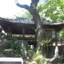 비래골길 이미지