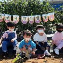 은하어린이집 이미지