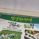 밥알수리취떡 | [강릉 정선 떡 맛집] 밥알찹쌀떡 수리취떡 후기 (아침 대용떡 추천)