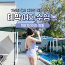 타이드 | 여자 실내수영복 브랜드 티막 미라지타이드 후기