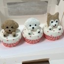 퍼피앤파파 이미지