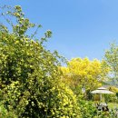 목향별관 이미지