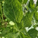 아름어린이공원 이미지