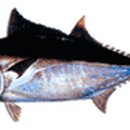 옹달샘식품 이미지