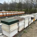 경남양봉산업 이미지