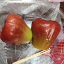[대만 타이베이 여행] 루이사 커피, 융캉우육면, 중정기념당, 라오허제 야시장