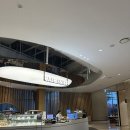 천사 애견 | (25.11.08)애견동반경주숙소 키녹 후기(내돈내산)_2