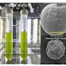 웰미디어랩 이미지