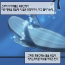 혹등고래 humpback whale 이미지