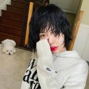 모어라이프 이미지