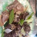 먹을래싸갈래 이미지