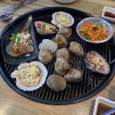 생생조개 이미지