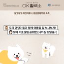 댕댕학당 이미지