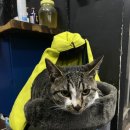 쿠마복싱짐 이미지