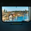 달콤한 오후 이미지