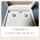화려한머리나라 | 종로 진주나라 아코야진주 귀걸이 목걸이 8.1mm 가격 주차 내돈내산 후기
