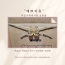 데일리악세사리 쇼핑몰 &#34;예쁘지유&#34; 심플한 여성 귀걸이 가격,착샷후기