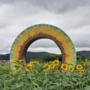 가야4리 이미지