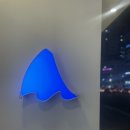 블루샥수영 이미지