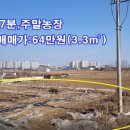 진흥농장2 네이버블로그