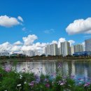 미사호수공원 이미지