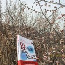 건강한세상대한약국 이미지