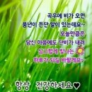 ☆ 카카오 프로필 이미지