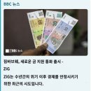 짐바브웨는 공식적으로 새로운 금 지원 통화를 출시했습니다 - ZiG 이미지