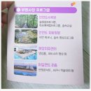 지에스25태안해안점 | 2026 태안국제 원예치유박람회 일정 총정리｜꽃지해안공원 힐링 축제 정보