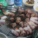 탐라도니 이미지