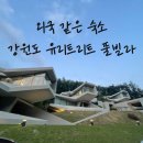 유리트리트 | 외국 느낌 가득한 강원도 풀빌라 유리트리트 솔직 후기