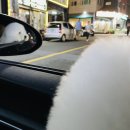 버블펫쌀롱 이미지