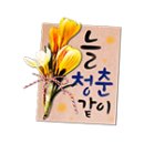늘청춘