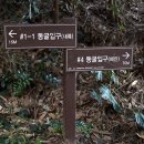 제주 서우봉 일제동굴진지 이미지