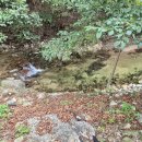 횡성 동당미 계곡 캠핑장 (9/28~9/29)