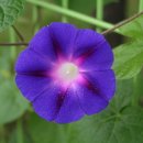 머믄자리 이미지