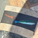 노을그려진바다풍경민박 | 이탈리아 친퀘테레 여행 1 (마나롤라, 숙소 Ca de Gianchi, 아이스크림 가게, 해산물 튀김, Trattoria...