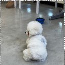 행복이가득한분식