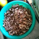 꿀꿀이 돼지국밥 이미지