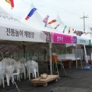 널뛰기악세사리 이미지