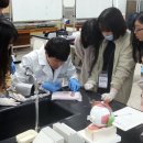 강원대학교사범대학 부설고등학교 이미지