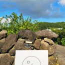 OJE 오늘도제주 이미지