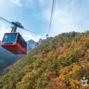 대둔산 캠핑 펜션 이미지