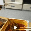 신열날개