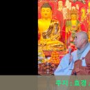 효경한의원 Daum카페