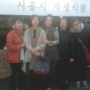 시흥시여성회관 이미지