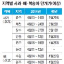 과수 이른 개화…인공수분 ‘비상’ 이미지