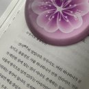 오티티Y | [1] 블챌로 뭔가를 꾸준히 하는 뚝심을 기르는 사람