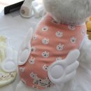 멍이날개 이미지