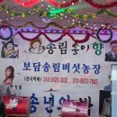 보담송림버섯농장 이미지